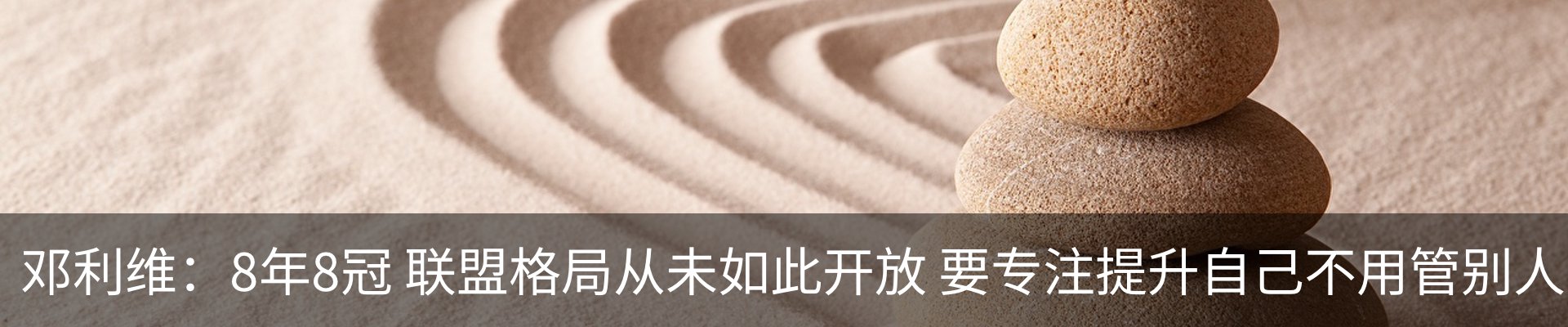 新闻动态